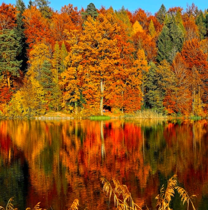 Is Now A Good Time To Refinance a Car? Fall 2022